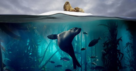 Minecraft : les profondeurs marines vont être totalement revues dans une màj