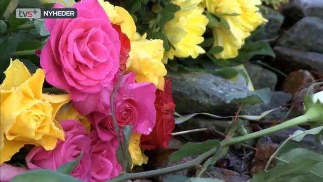 Borgere efter togulykke: Sikkerheden halter | Kvinde dræbt i Jernbaneoverskæring | DSB | Banedanmark | 07-01-2015 | TV SYD @ TV2 Danmark