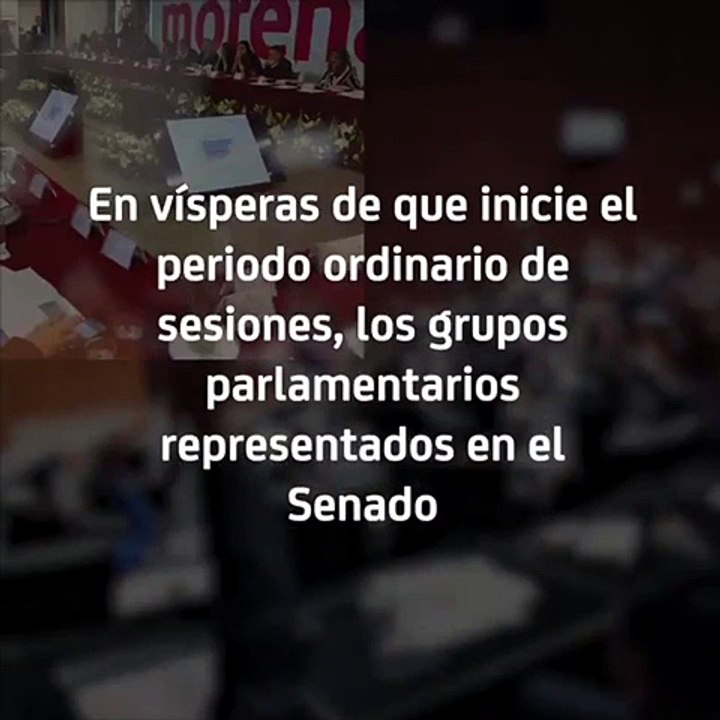 Video Senado
