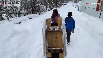 Турция: город - саночная трасса и спасение котёнка-скалолаза