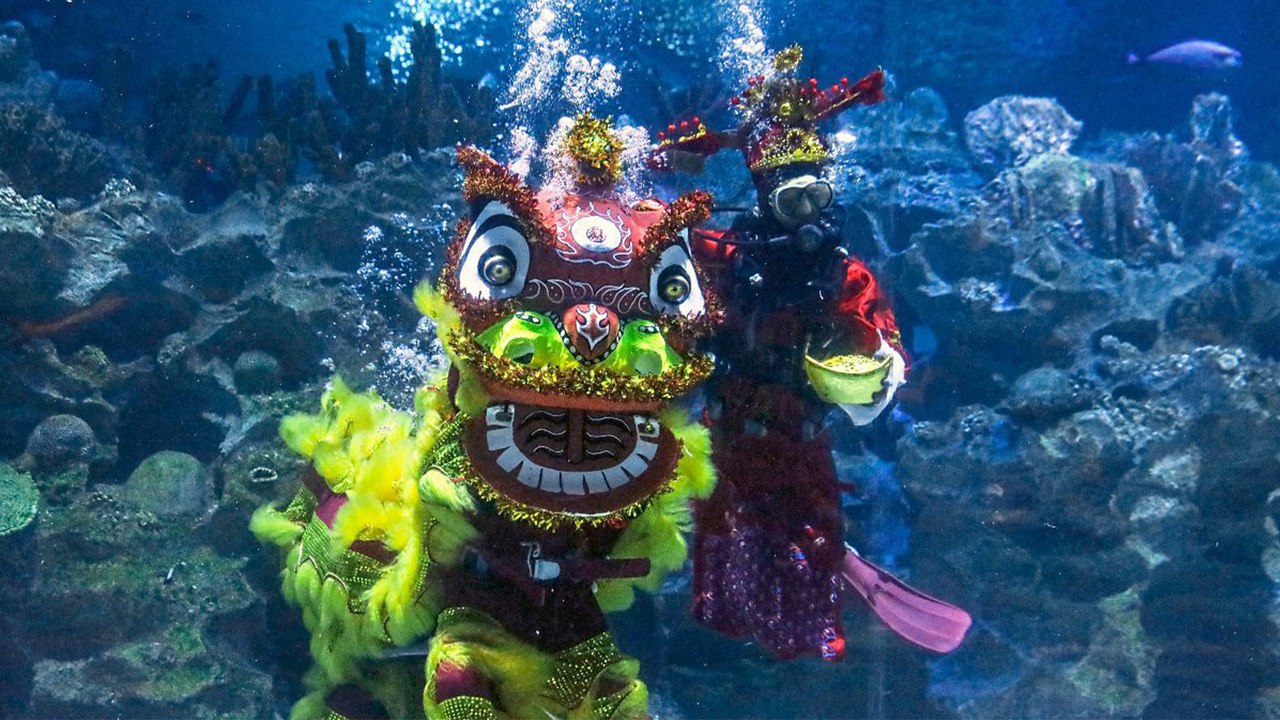 2022: Das Jahr des 'Wasser-Tigers'