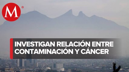 Investigación destapa los vínculos entre cáncer de mama y polución
