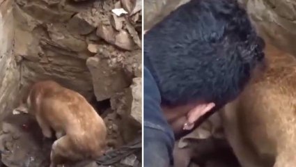Köpeğin işaret ettiği yerdeki toprağı kazan ekipler, karşılarındaki manzarayla hıçkırığa boğuldu