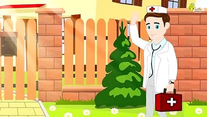 Miss Polly Had A Dolly Nursery Rhyme | Kids Songs by Turtle