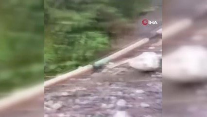 Petrol sızıntısı Amazon ormanlarına yayıldı