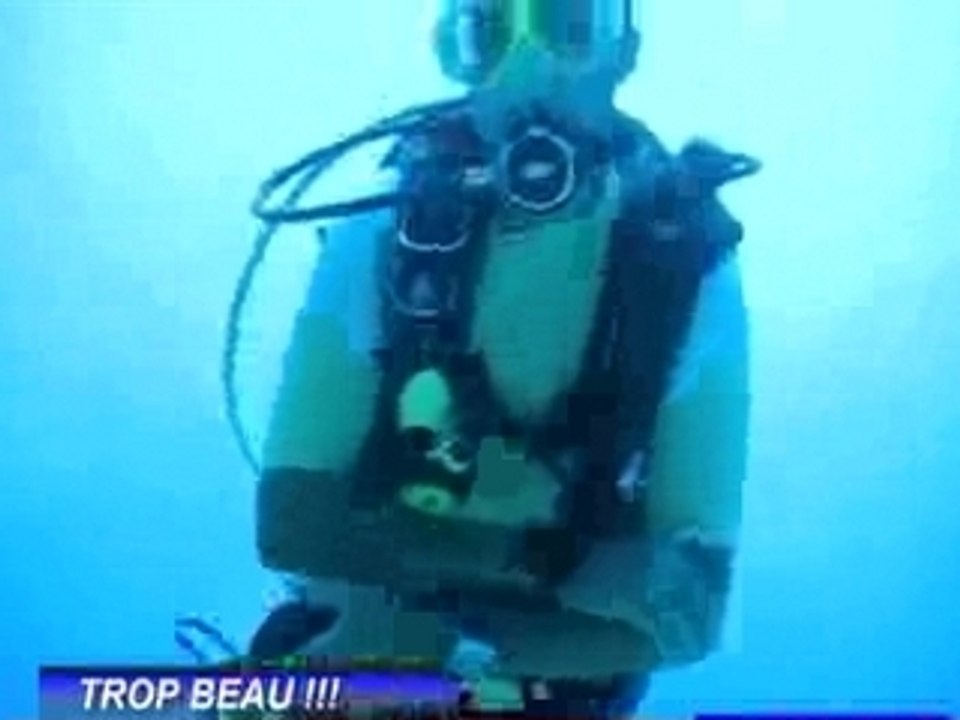 paradise dive