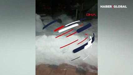 Evlerinin önüne gelen tilkiyi beslediler! O anlar kamerada