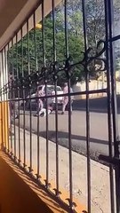 Fuerte enfrentamiento entre policías y civiles deja varios heridos