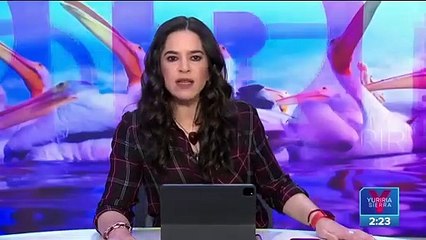 Migración de pelícanos borregones, espectáculo natural en Michoacán