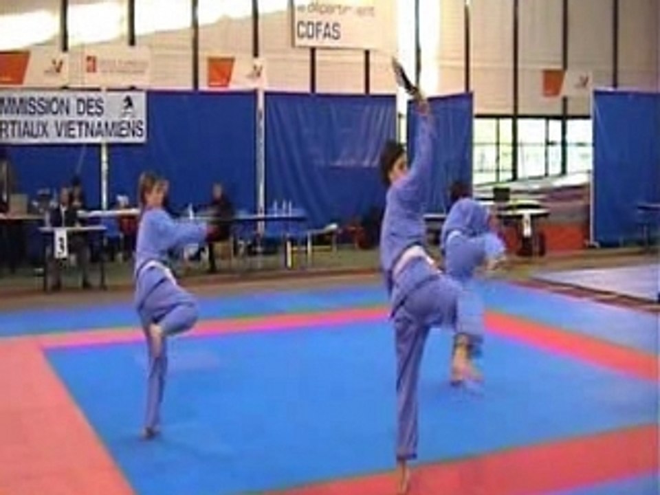 UVVDM - Quyen Dong Dien - Coupe de France 2004