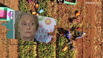 Kolo srece - 105 epizoda NOVO