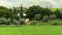 المحكمة العليا الإسرائيلية تسمح بهدم خزان مياه بمنطقة الأغوار