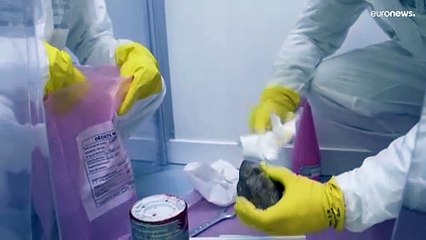 Warum Atomkraft für Frankreichs junge Menschen wieder attraktiv ist