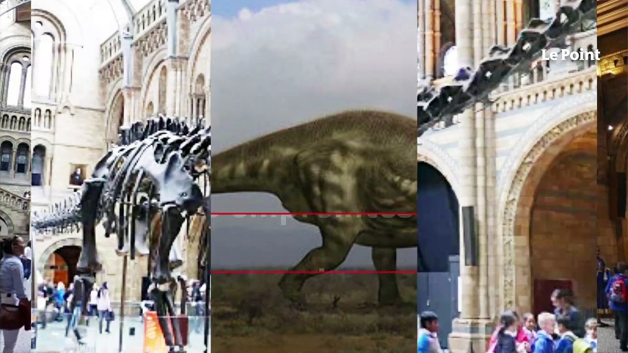 Ces empreintes de dinosaure datent bien de 200 millions d’années