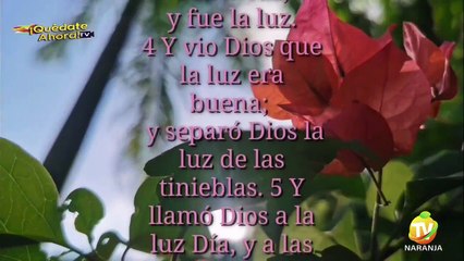 QUÉDATE AHORA TELEVISION INTERNACIONAL