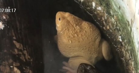 9 ข่าวเช้า ช่วงที่ 3 วันอังคารที่ 1 กุมภาพันธ์ 2565