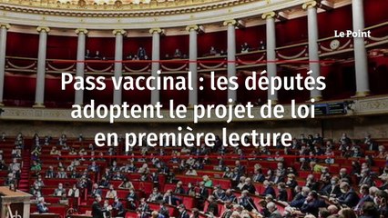 Pass vaccinal : les députés adoptent le projet de loi en première lecture