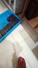 Wow,,,, What is this!!!!