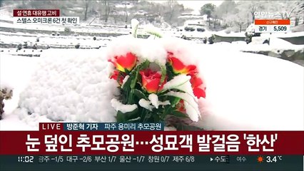 설 당일 한산한 추모공원…"눈길 뚫고 왔어요"