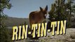 The Adventures of Rin Tin Tin Saison 0 - Opening - VF - Couleur (EN)