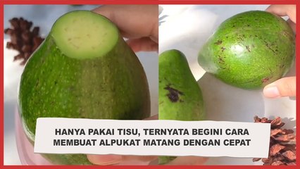 Viral! Hanya Pakai Tisu, Ternyata Begini Cara Membuat Alpukat Matang dengan Cepat