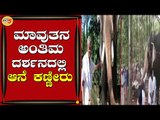 ಆಗಲಿದ ಮಾವುತನ ಅಂತಿಮ ದರ್ಶನ ಪಡೆದ ಆನೆ | Kerala | Elephant Viral Video |  TV5 Kannada