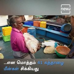 Fish Auctioned For 70 Lakhs In Nagapattinam