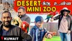 Desert-க்கு உள்ள Mini Zoo-ஆ ?? | Kuwait Blue Lake Farm | Family wings