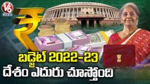 Public Curiosity & Expectations From Budget  Union Budget 2022-23 _ V6 News