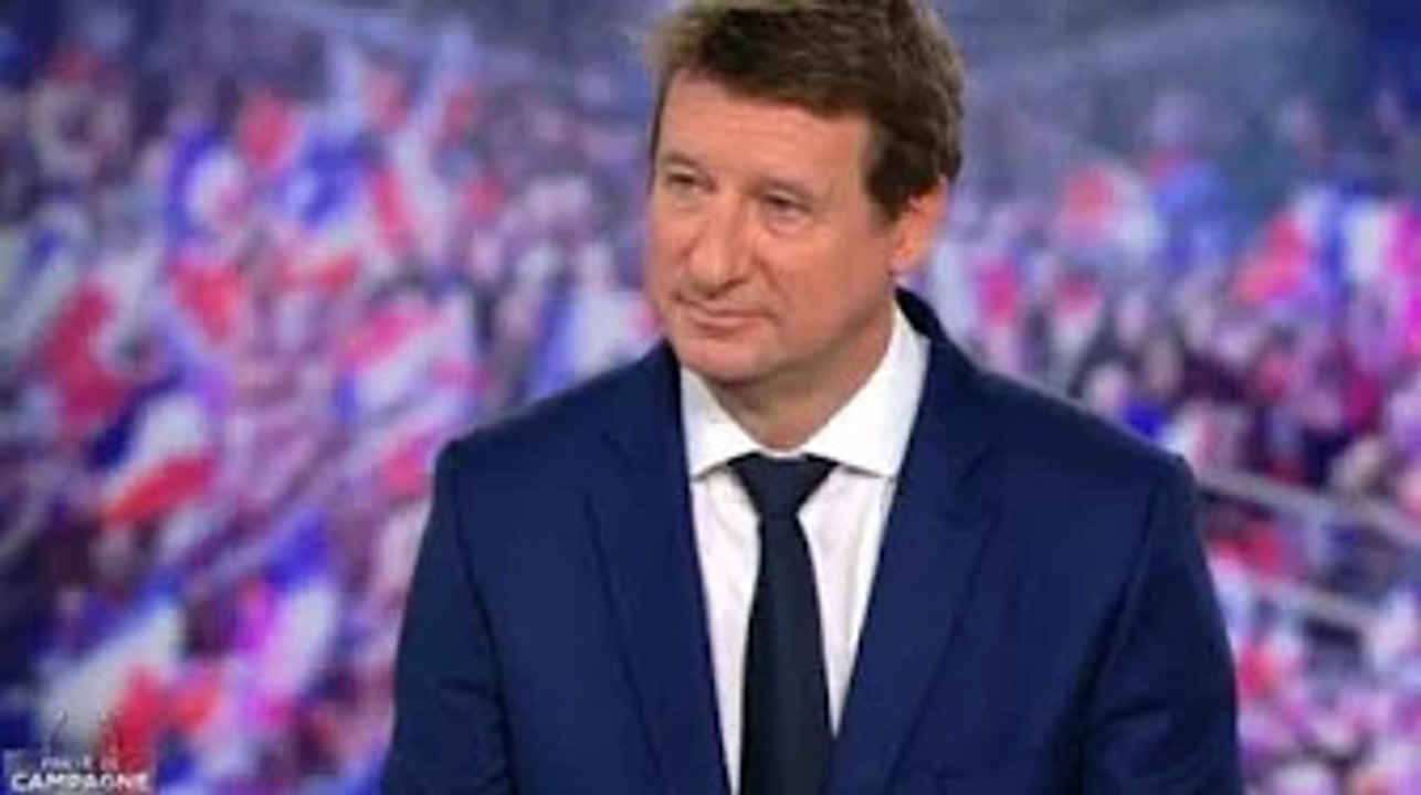 Yannick Jadot au 20h de TF1 : pourquoi son look n’est pas passé inaperçu