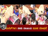 ಬುಲೆಟ್​ ಪ್ರಕಾಶ್​ ಅಂತ್ಯ ಸಂಸ್ಕಾರದಲ್ಲಿ ಸಾಕು ನಾಯಿಯ ಮೂಕ ರೋಧನೆ | Bullet Prakash Pet Dog |  TV5 Kannada