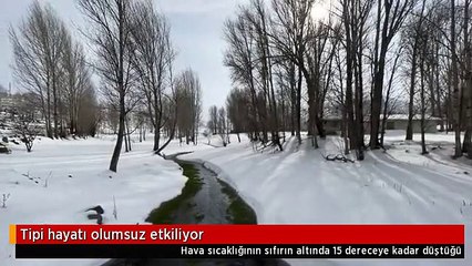 Tipi hayatı olumsuz etkiliyor
