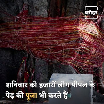 Know The Health Benefits Of Peepal Tree