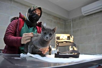 Bu merkezin Türkiye'de örneği yok