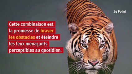 Nouvel An lunaire : quelle signification revêt l’année du Tigre d’eau ?