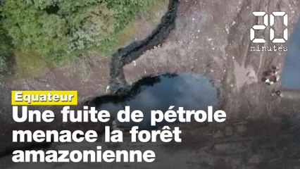 Equateur : La jungle amazonienne menacée par une fuite de pétrole