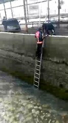 Buz gibi suda donmak üzere olan yavru köpeği itfaiye kurtardı