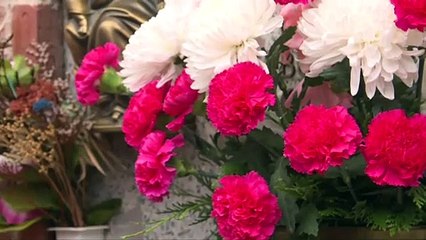 La Covid-19 causó la mayor catástrofe de mortalidad por infección en España desde 1918