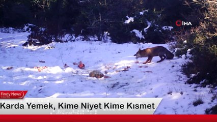 Karda Yemek, Kime Niyet Kime Kısmet
