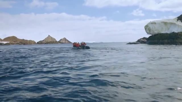 Científicos de Estados Unidos estudian cómo afecta el calentamiento global a los pingüinos en la Antártida