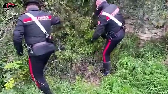 Foggia, operazione Macchia bianca droga ed estorsioni, 6 arrestati tra Manfredonia e San Severo