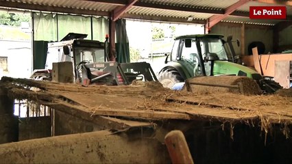 Élevage porcin : "Si ça continue comme ça, je préfère arrêter"