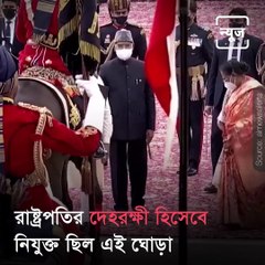 PM Narendra Modi Pets ‘Virat’, The Elite Horse Of President’s Bodyguard, As He Retires