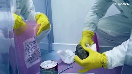Francia, l'energia nucleare crea prospettive di lavoro