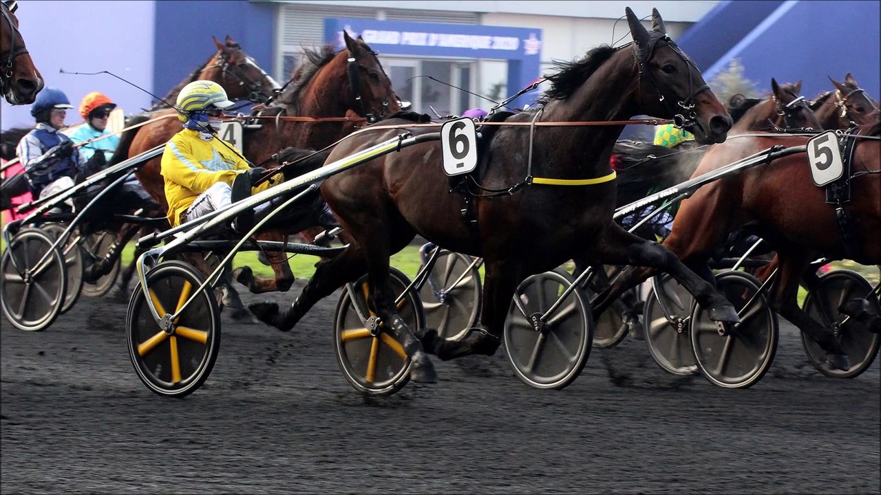 Pronostic gratuit pour le Quinté PMU du mercredi 2 février 2022