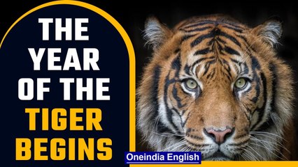 The Chinese New Year: Everything you need to know | Watch Video | OneIndia News