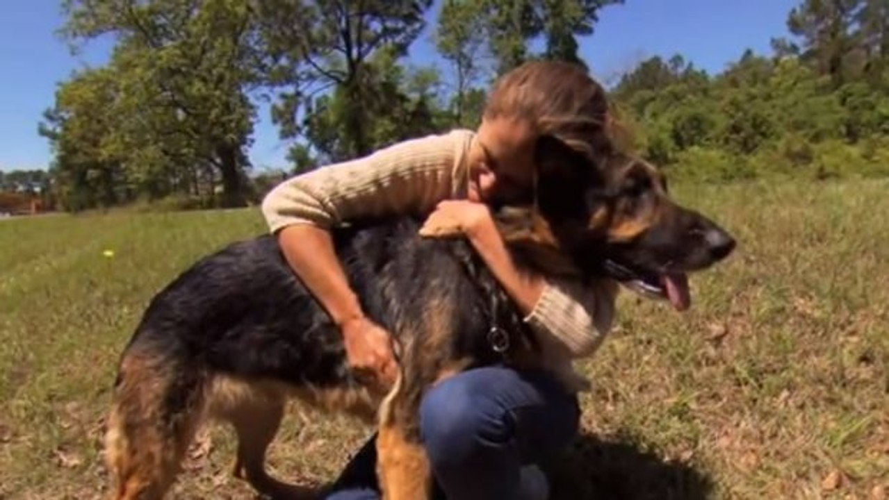 Dieser Hund ist unglaublich. Er hat dieser Frau das Leben gerettet.