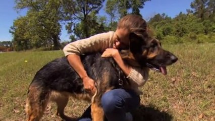 Dieser Hund ist unglaublich. Er hat dieser Frau das Leben gerettet.