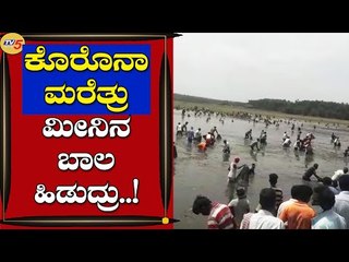 ಕೊರೊನಾ ಮರೆತ್ರು ಮೀನಿನ ಬಾಲ ಹಿಡುದ್ರು..! | Hassan | Fishers | Tv5 Kannada