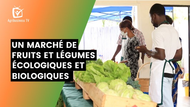 Bénin : Un marché de fruits et légumes écologiques et biologiques